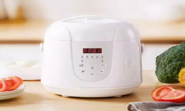 Best Rice Cookers Review